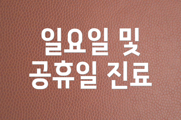 일요일 및 공휴일 진료