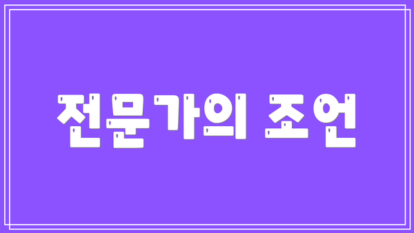 전문가의 조언
