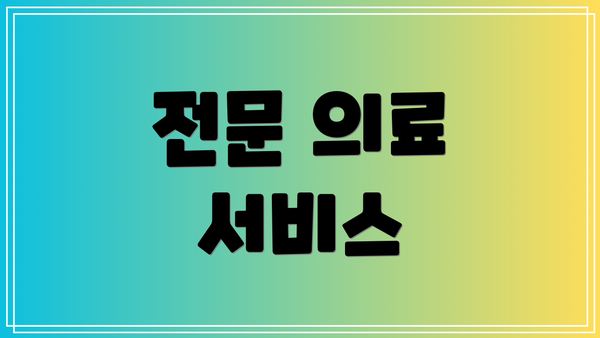 전문 의료 서비스