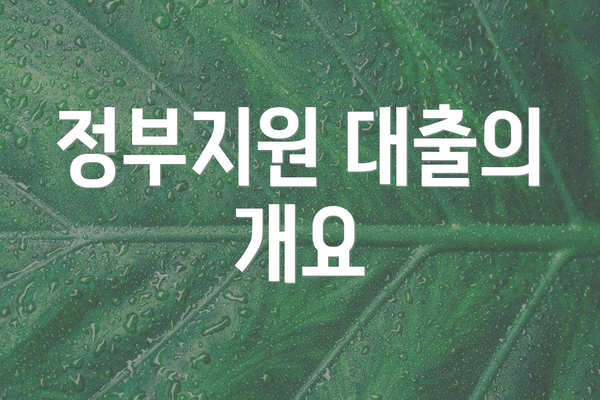 정부지원 대출의 개요