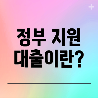 정부 지원 대출이란?
