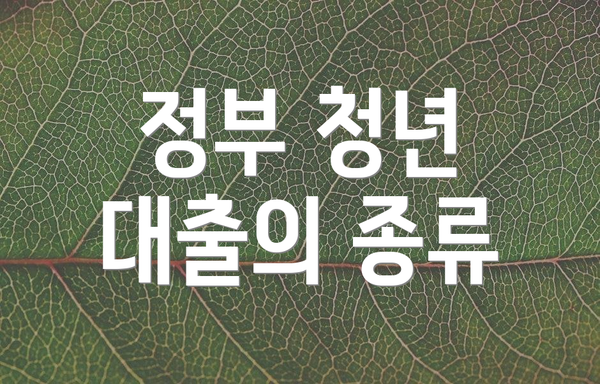 정부 청년 대출의 종류