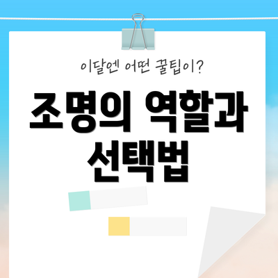 조명의 역할과 선택법