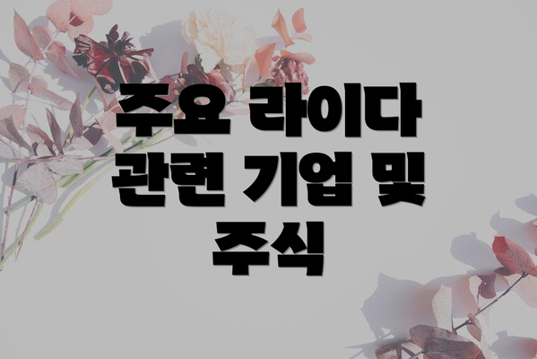 주요 라이다 관련 기업 및 주식