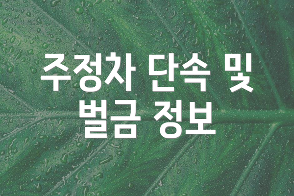주정차 단속 및 벌금 정보