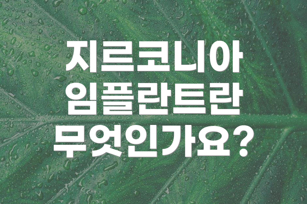 지르코니아 임플란트란 무엇인가요?