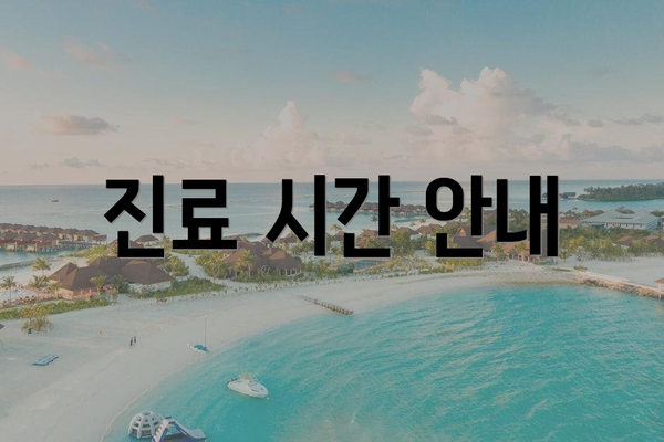 진료 시간 안내