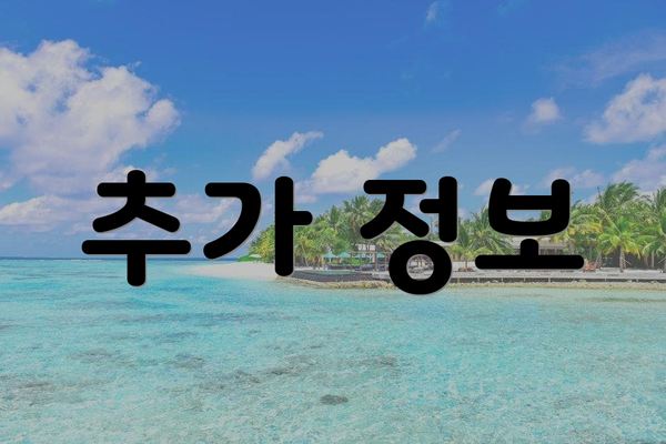 추가 정보