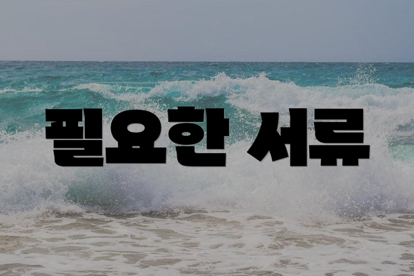 필요한 서류
