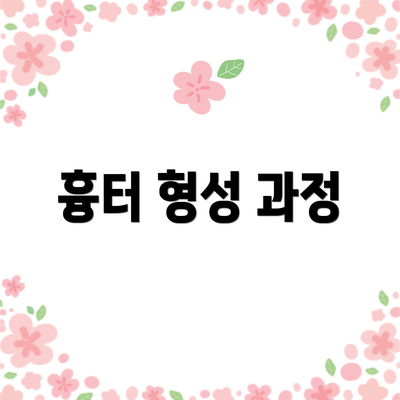 흉터 형성 과정