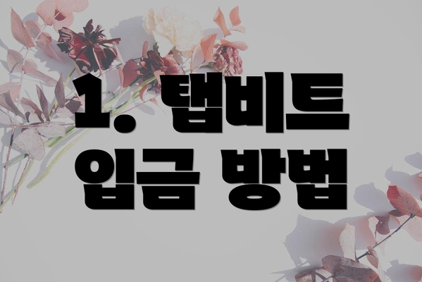 1. 탭비트 입금 방법