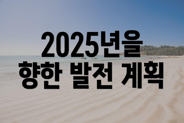 2025년을 향한 발전 계획