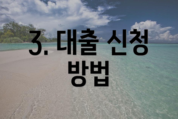 3. 대출 신청 방법