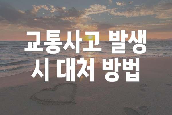 교통사고 발생 시 대처 방법