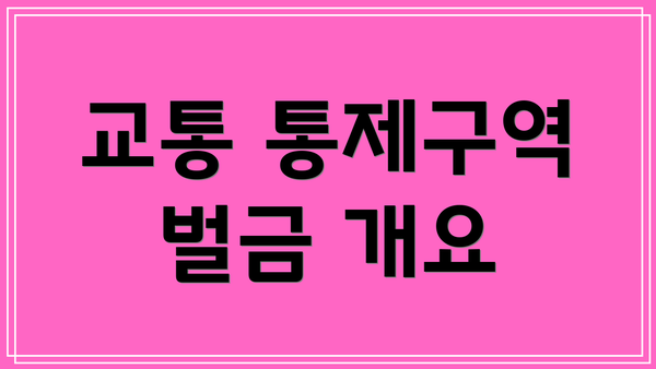 교통 통제구역 벌금 개요