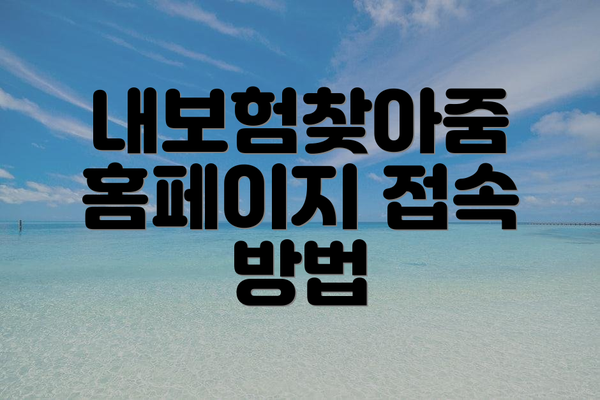 내보험찾아줌 홈페이지 접속 방법