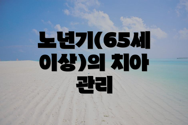 노년기(65세 이상)의 치아 관리
