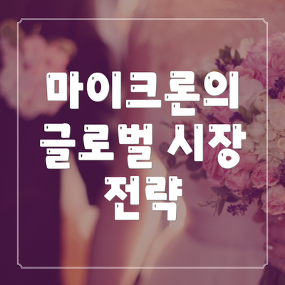 마이크론의 글로벌 시장 전략
