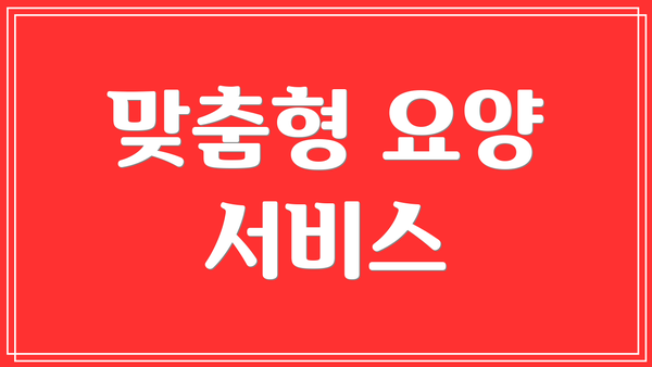 맞춤형 요양 서비스
