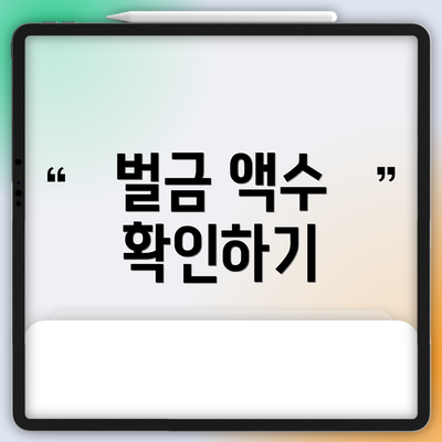 벌금 액수 확인하기