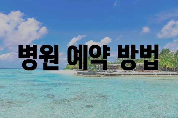 병원 예약 방법