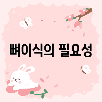 뼈이식의 필요성