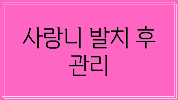 사랑니 발치 후 관리