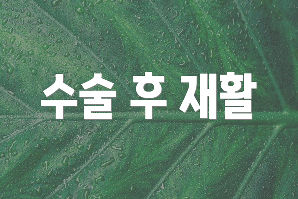 수술 후 재활
