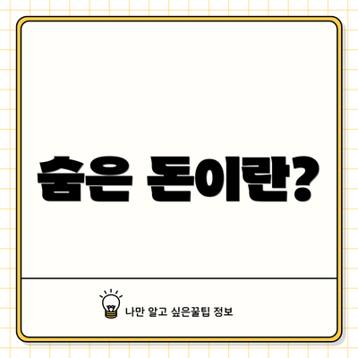 숨은 돈이란?