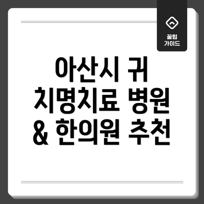 아산시 귀 치명치료 병원 & 한의원 추천