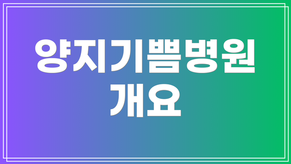 양지기쁨병원 개요