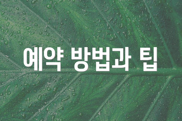 예약 방법과 팁