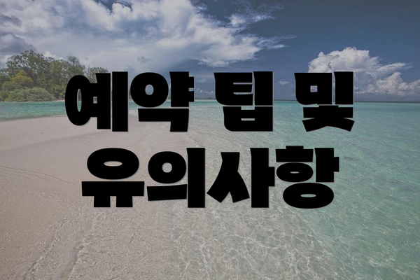 예약 팁 및 유의사항