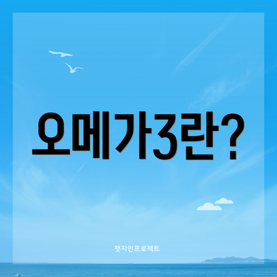 오메가3란?