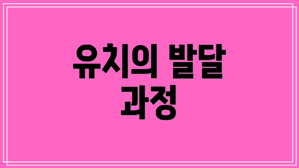 유치의 발달 과정