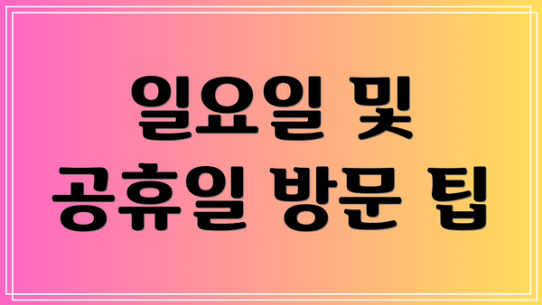 일요일 및 공휴일 방문 팁