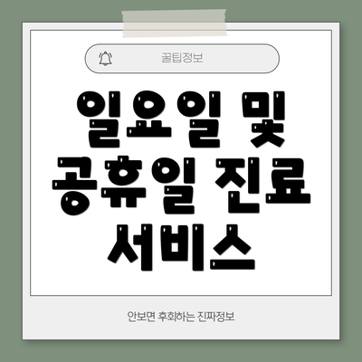 일요일 및 공휴일 진료 서비스