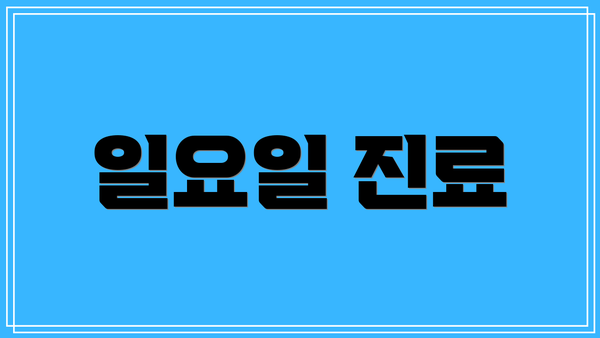 일요일 진료