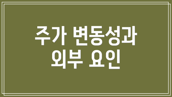 주가 변동성과 외부 요인