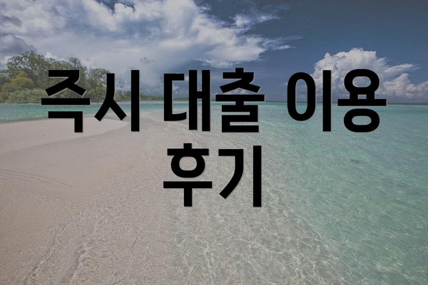 즉시 대출 이용 후기