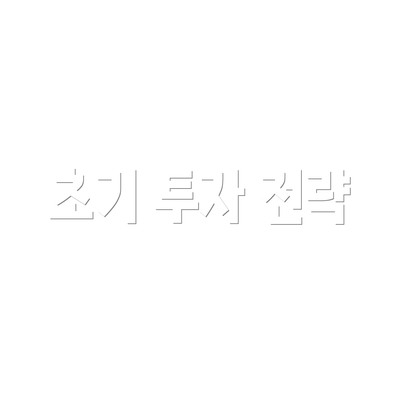 초기 투자 전략