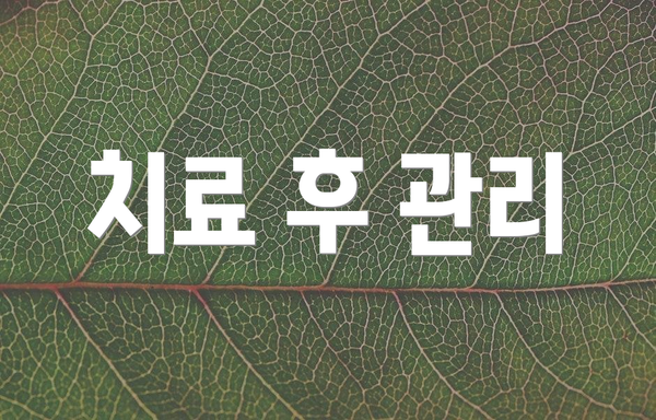 치료 후 관리