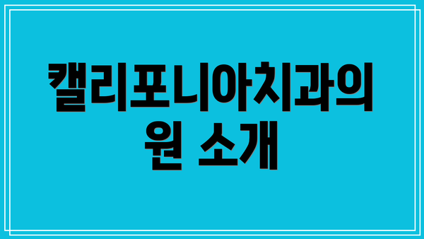 캘리포니아치과의원 소개