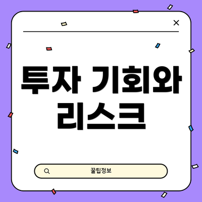 투자 기회와 리스크