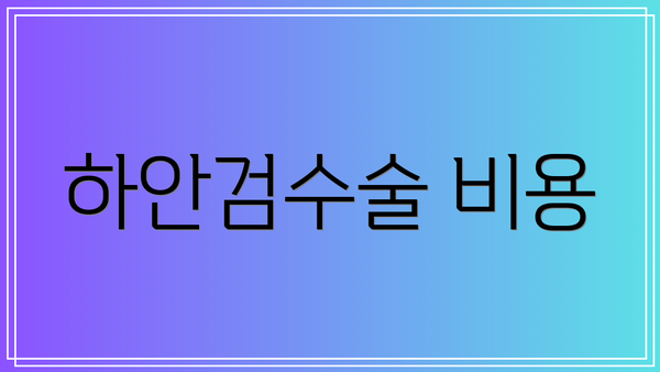 하안검수술 비용