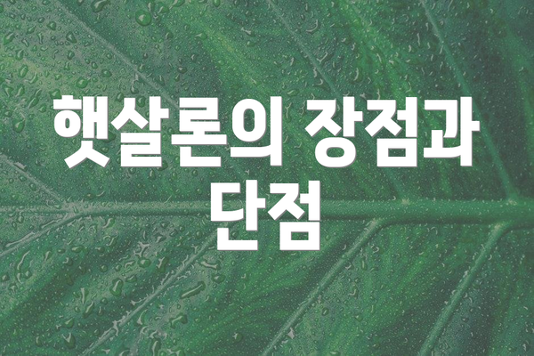 햇살론의 장점과 단점