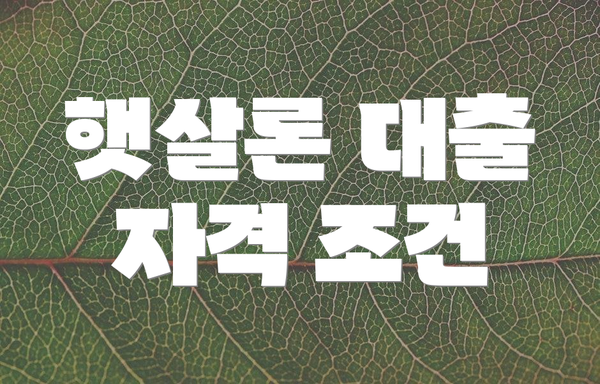 햇살론 대출 자격 조건