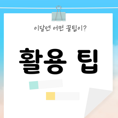 활용 팁