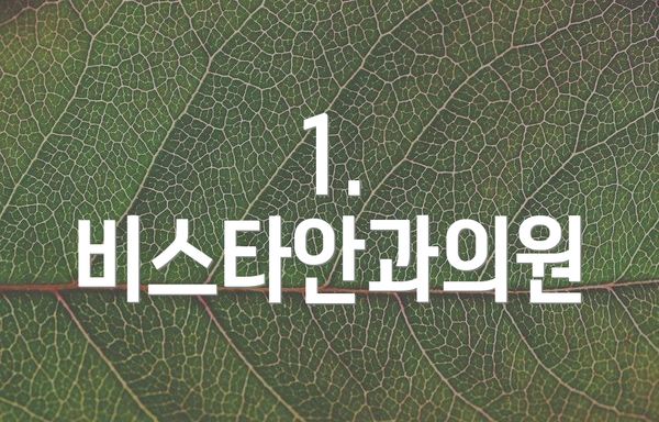 1. 비스타안과의원