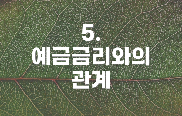 5. 예금금리와의 관계